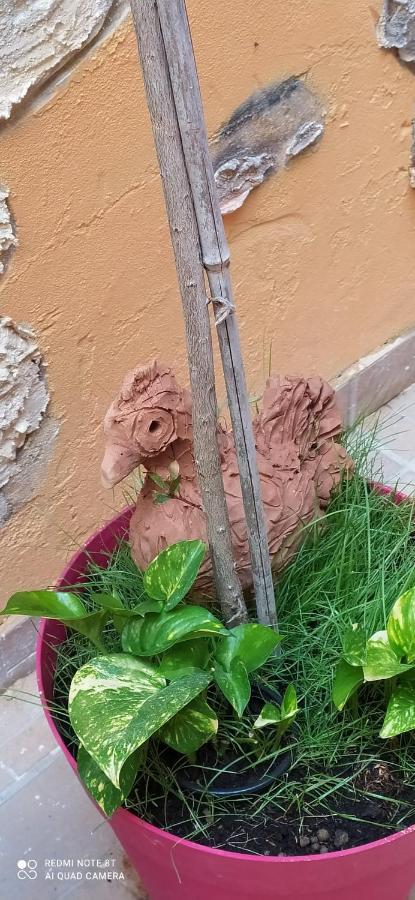 Come A Casa سيراكوزا المظهر الخارجي الصورة